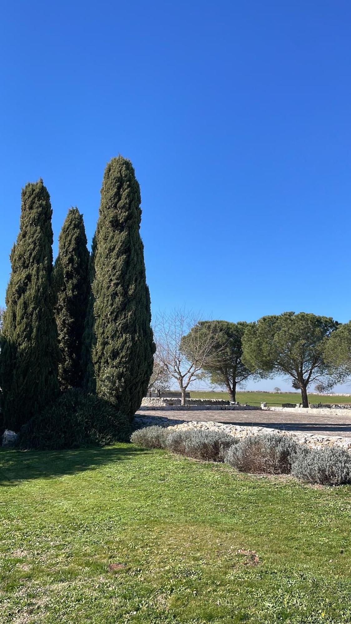 Villa Trulli La Mandra Noci Esterno foto